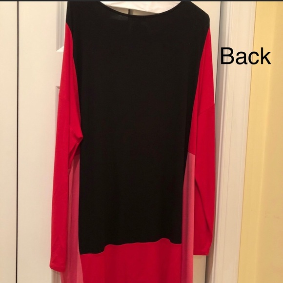 Red Pink & Black Color Block Tunic/Dress by J Jill - Picture 6 of 8